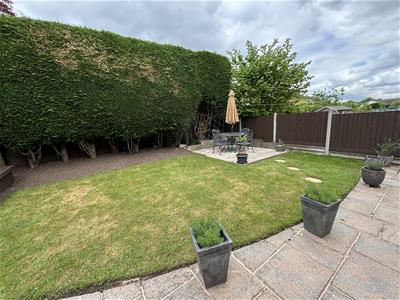 Picture 25